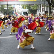 Things to do: This weekend: Super Yosakoi (2013) dance festival